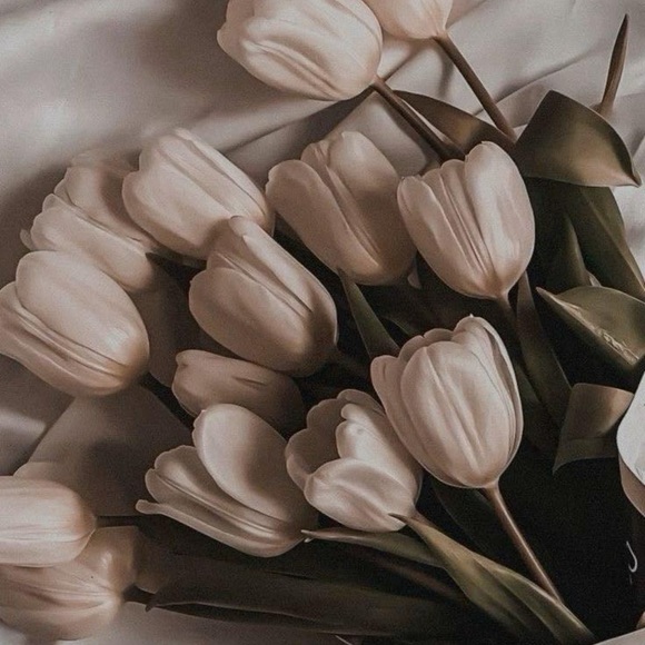 everydayluxe_